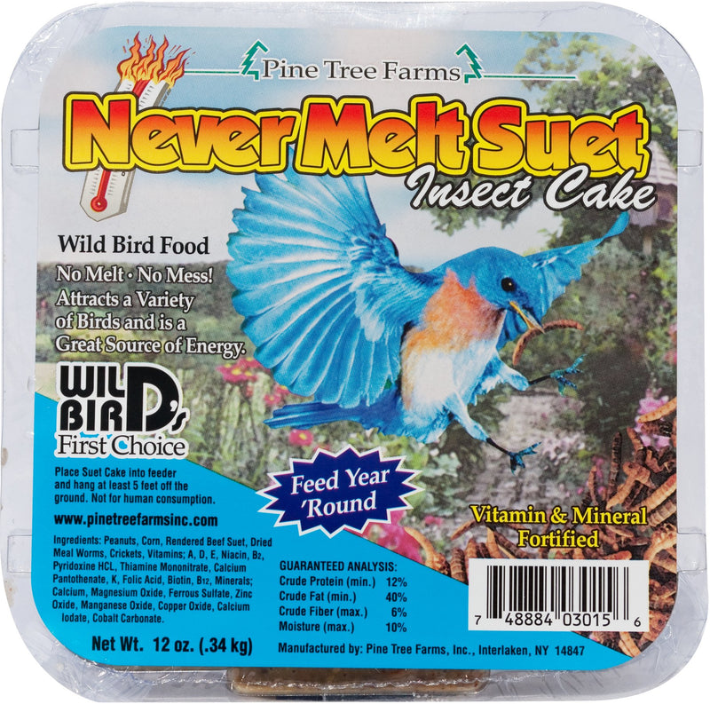 Pine Tree Insect Never Melt Suet Dough 12oz